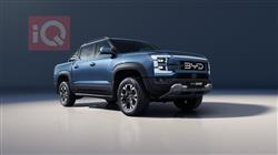 بي واي دي شارك 6